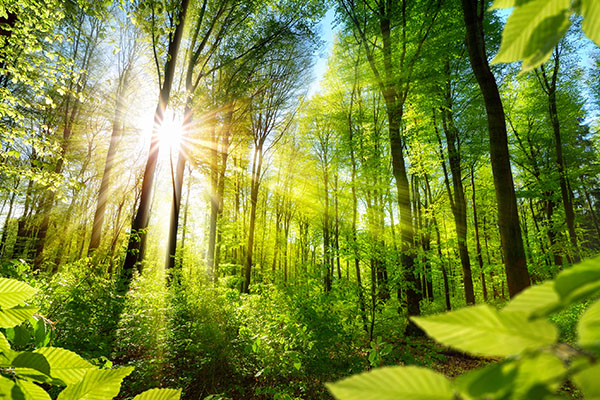 Environmentally responsible CNC machining